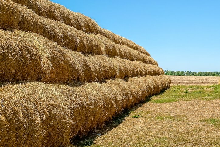 When and When Not to Build a Hay Wall